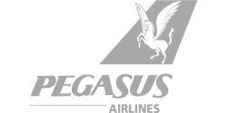 Pegasus